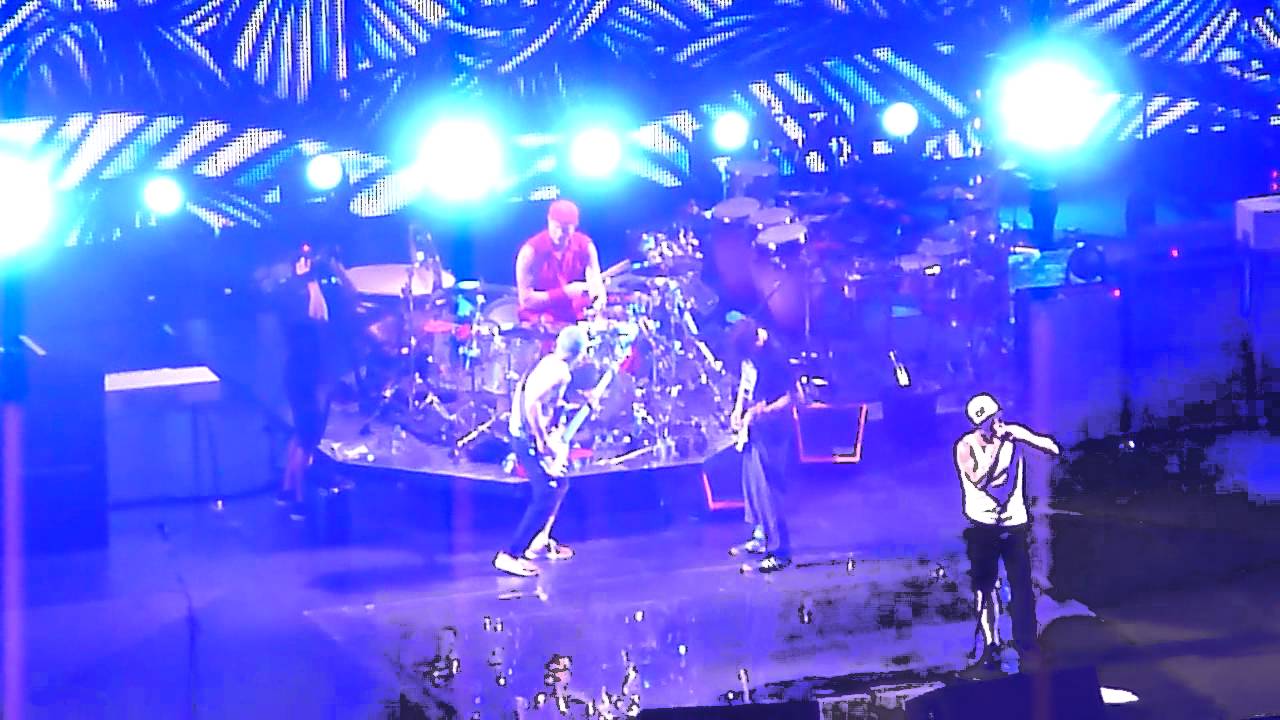 Red Hot Chili Peppers Higher Ground + Under the Bridge (Live in