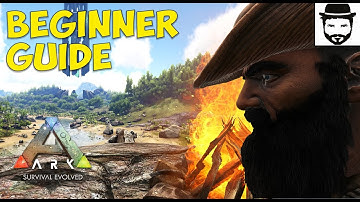 A Beginners Guide To Ark
