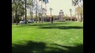 Falling_Forward_0001.wmv