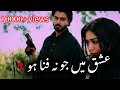Ishq Mein Jo Na Fana Ho Ghulam Badshah Sundari Ost Imran Ashraf Hina Afreedi Zaviyar Nouman