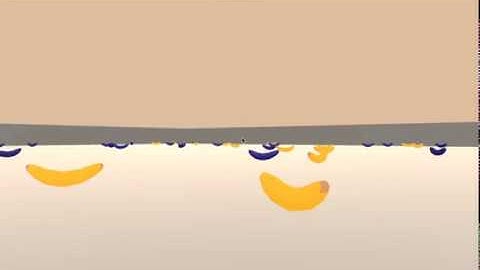 Solving Unity ML Environment with Deep RL