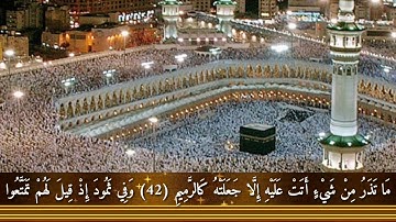 ماتيسر من سورة الذاريات / صوت رضا سلمان