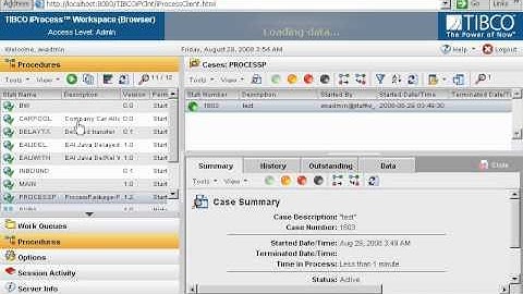 TIBCO iProcess - Forms development