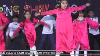 Pioneer School Of Excellence Hasilpur