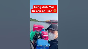 Một chuyến câu bội thu Cá Tráp của Anh Mạc | Mạc Văn Khoa #haihuoc #phimhay #cuoccauca #anhmaccomedy