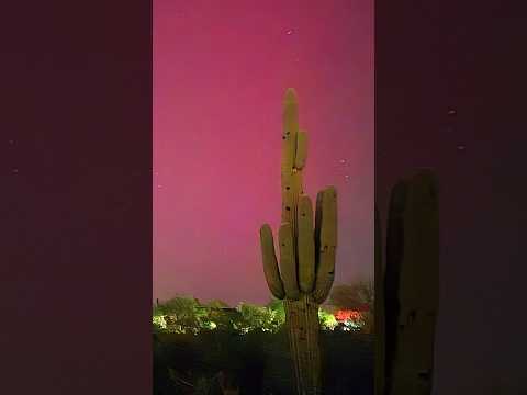 Massive Aurora Borealis