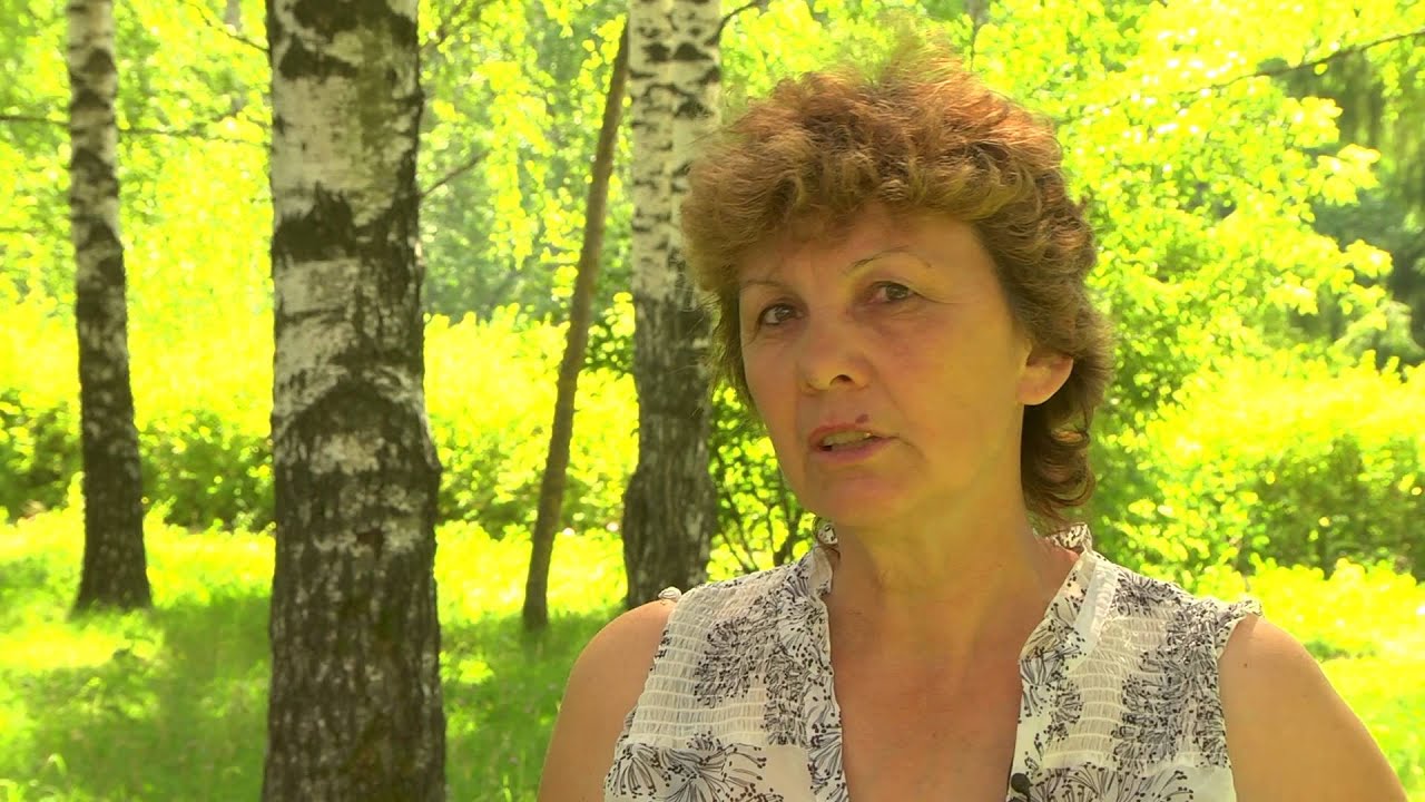 Ао нива павлоградка