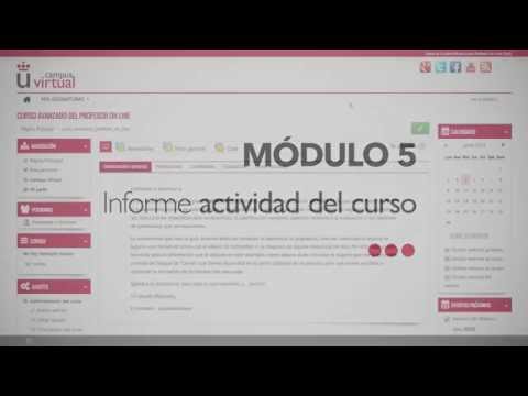 Informe 'Actividad del