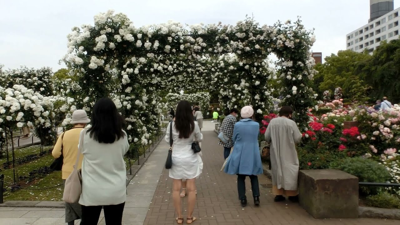 みちさんぽ 2021年春の遠足