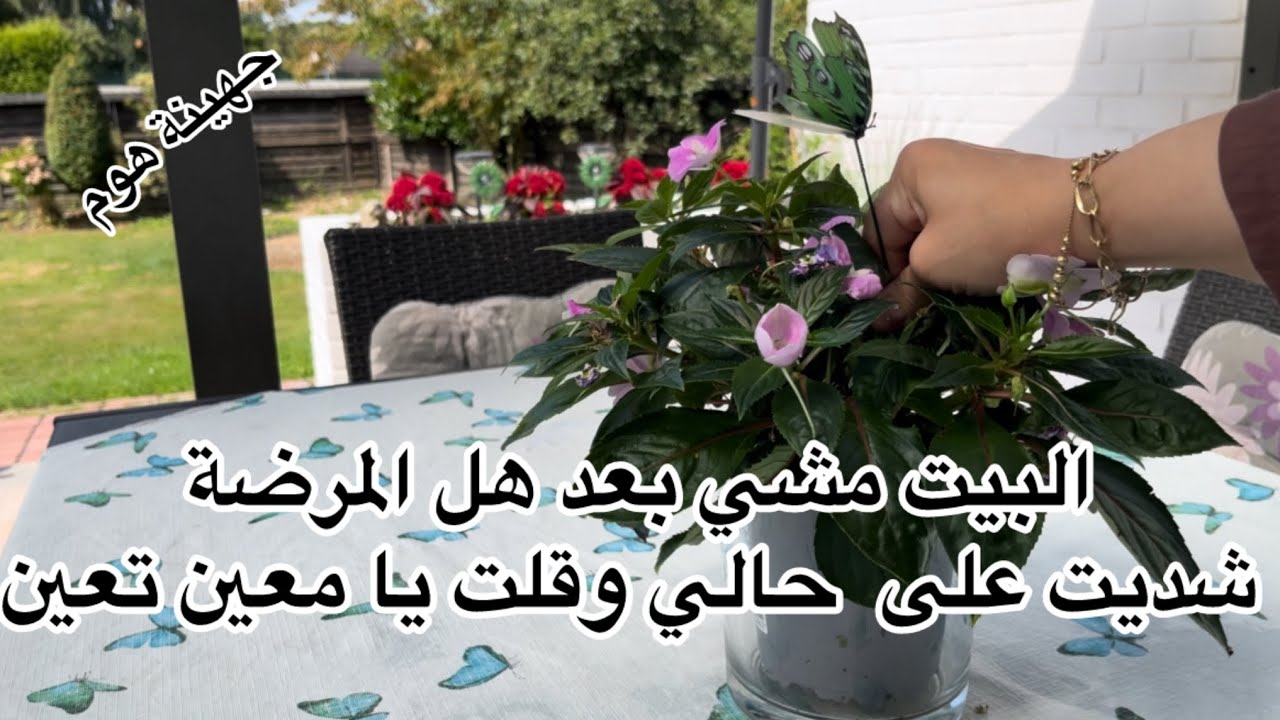 حاسة حالي متل الاطرش بالزفة😤 عملت كروسان بالجبنة والشوكولا😋مونة عصير الحصرم