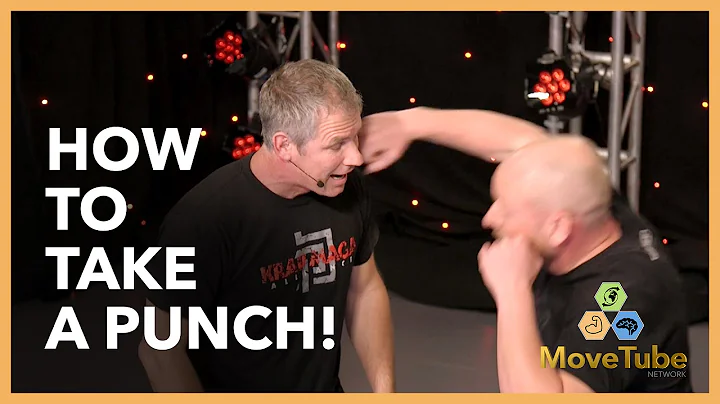 How to Take a Punch to the Face - John Whitman