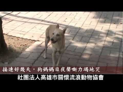 我是小優