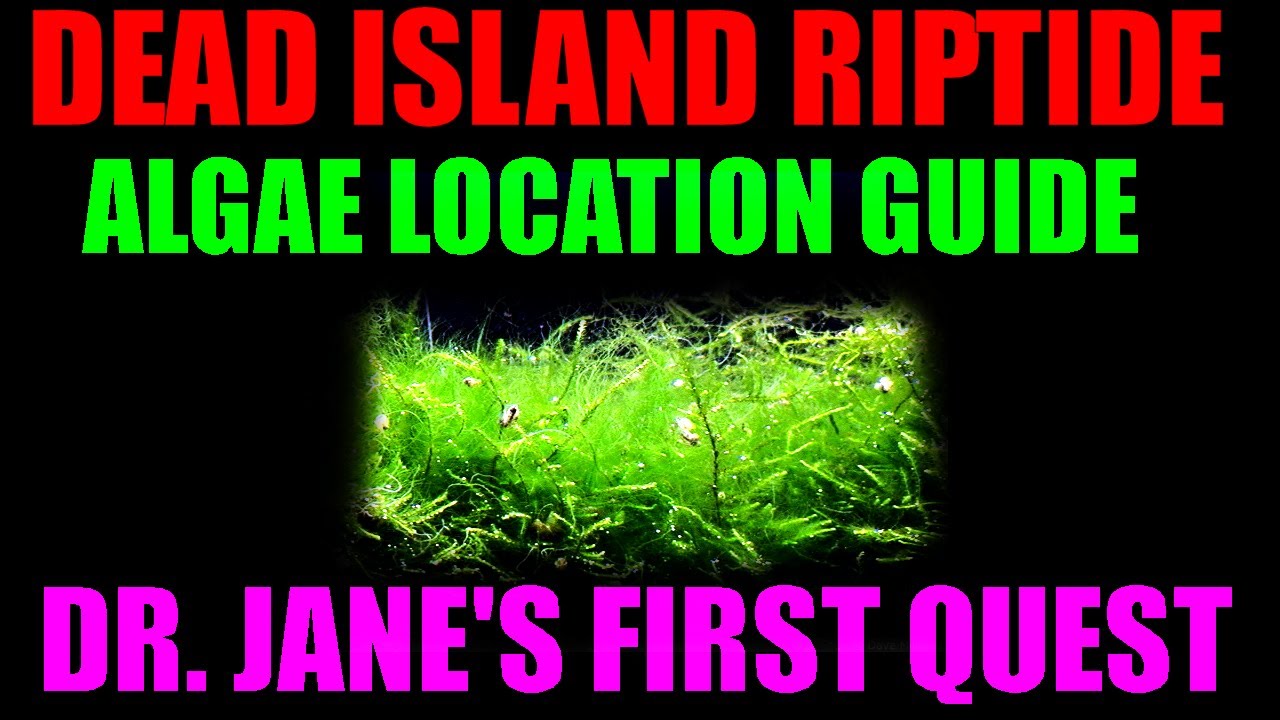 Dead Island Riptide Algae Spawn : r/deadisland