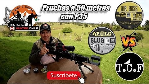 Pruebas a 50 metros con seteo de válvula a 880 FPS, Apolo vs Tirador C.F | Producto Chileno