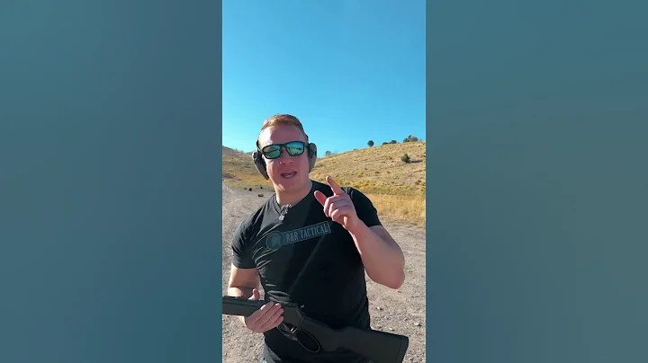 Why Aren’t You Shooting A Henry Lever Action? With FIREBIRD TARGETS! #leveraction #cowboyaction