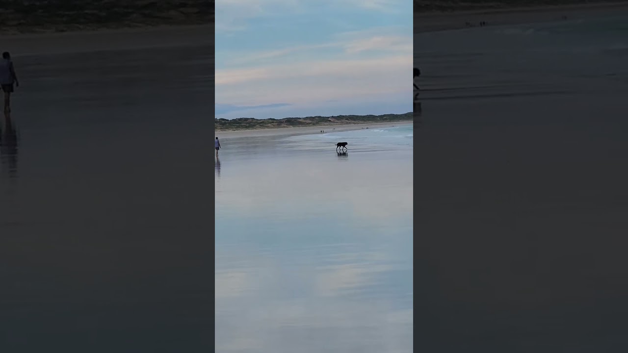 Sky is the limit! Imagine and Reconnect to Nature! Cable Beach Broome Australia 