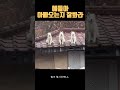 시골가면 흔한 강아지들 일상ㅋ #시골 #시골개 #강아지 #유머 #개냥이