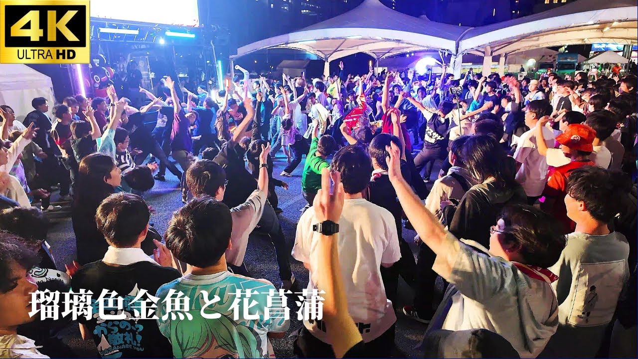 肉フェス 2025】「瑠璃色金魚と花菖蒲」- 白石紬 【オタ芸】アイドル