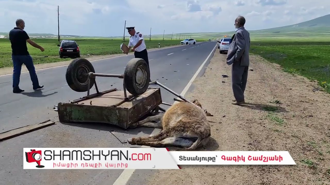 Արտակարգ դեպք Արագածոտնի մարզում. բախվել են Hyundai-ն ու «Զազո» ավանակով լծասայլակը. կա վիրավոր