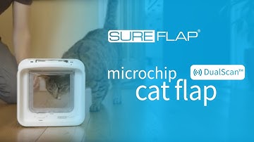 How to Learn a Standard Cat into your DualScan Microchip Cat Flap