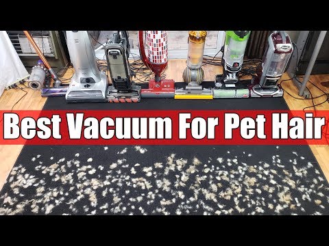 Best Vacuum For Pet Hair U0026 Allergies TESTS - Dyson Vs Shark Vs Bissell Vs Sebo