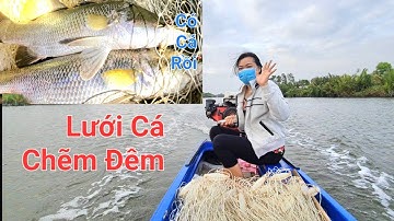 Thả lưới cá chẽm được 2 Con! bán luôn.