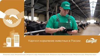 Каргилл кормление животных в России