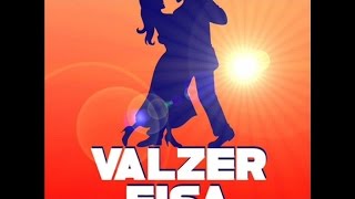 Valzer fisa compilation - 3 ore mix valzer suonato alla fisarmonica