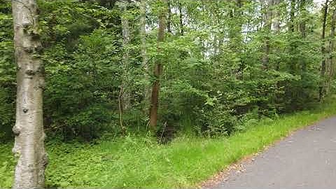 Is anyone actually doing TDD?