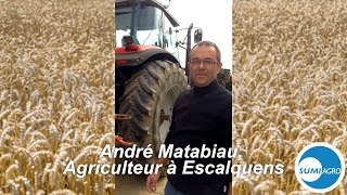 Microplus améliore la levée de mes céréales - André Matabiau Agriculteur - Haute-Garonne