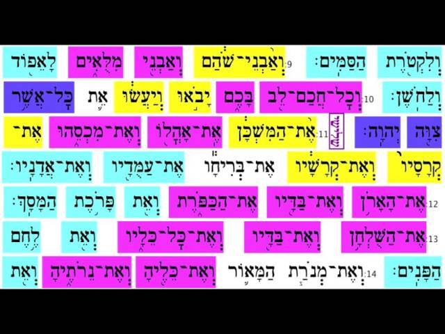 Vayakhel 11
