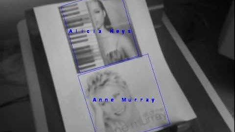 Rotation Invariant Fast Features -- Augmentation (December 2009)