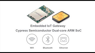 The Xpico 250 Embedded Iot Gateway