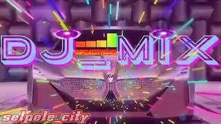 🌴lagu Dj remix 2021 bale pulang( Ecky Ecko Dopllazz528ball