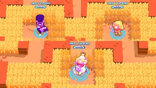 QUI est CHEATÉ en COMBAT DE GEANT BRAWL STARS ? BELLE, EDGAR, TARA, EMERI et LEON en GEANT!?