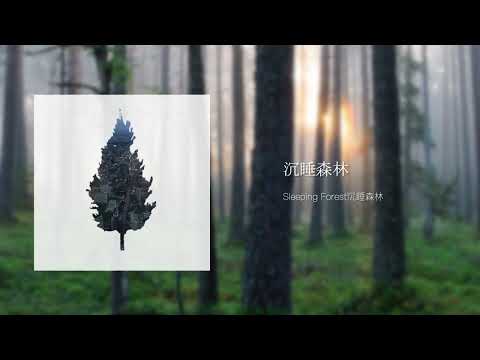 Sleeping Forest沉睡森林 -《沉睡森林Sleeping Forest》