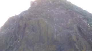 Close-up View of Haystack Rock; Lots of Seagulls Roosting