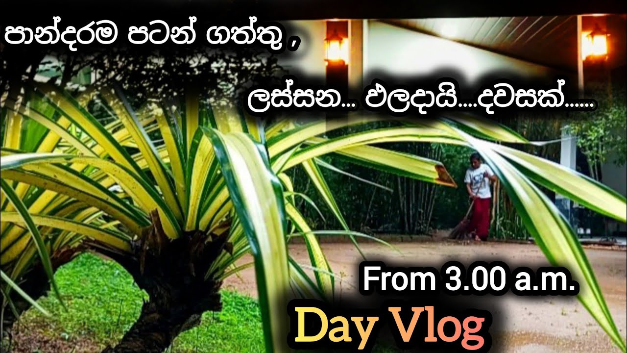 ඒකාකාරිව ගෙවෙන ගෙදර ජීවිතේ එපා වෙනවද💕My Productive & Busy Day💕Mortivation for Life💕