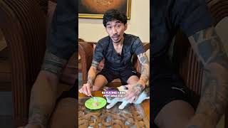 Safe ways to give worm medicine to cats to prevent vomiting and diarrhea.