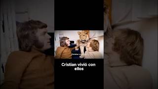 #feedshorts #fypyoutube #datoscuriosos #historiadeanimales #animales