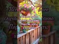 💌 Тебе волшебное послание. Для активации пиши в комментарии "Принимаю" 🙏