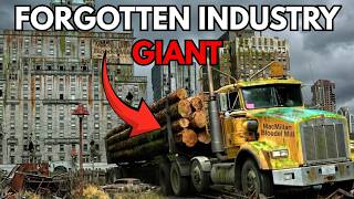 From Canada's Logging Empire to Ruins: The MacMillan Bloedel Mill Collapse Story