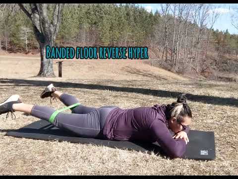 Floor Y Reverse Hyper