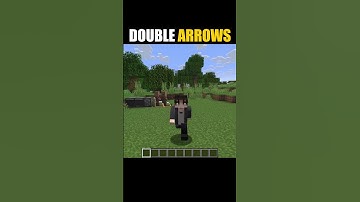 Double Your Arrows in Minecraft !! #shorts #minecraftshorts #minecraftmemes