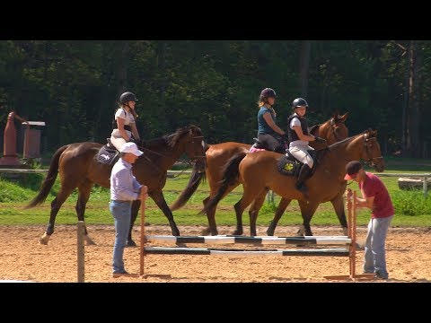 Vídeo: Sua criança está pronta para aulas de equitação?