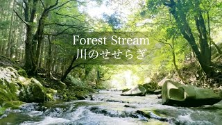 【自然環境音】ゆるやかな川の音 / 睡眠 勉強 作業用 BGM / リラックス / 自然音 Nature Sound / ASMR