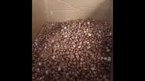 electric peanut roasting machine