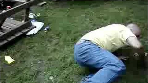 Man dives over picnic tables