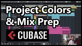 Project Color Setup &amp; Mix Preparation in Cubase