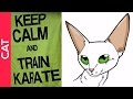 11-25 Cat [KARATE EDITION] shodan.lt